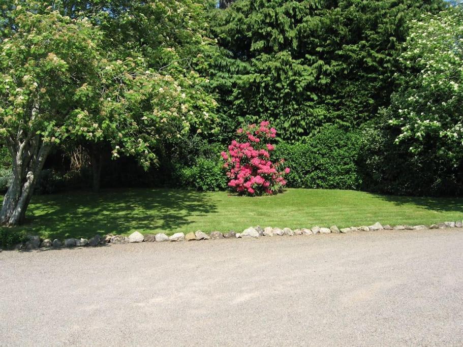 Self Catering Apartment At Beechwalk House. Enniskerry Exteriör bild
